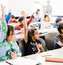 Participant in a classroom eagerly raise their hands.